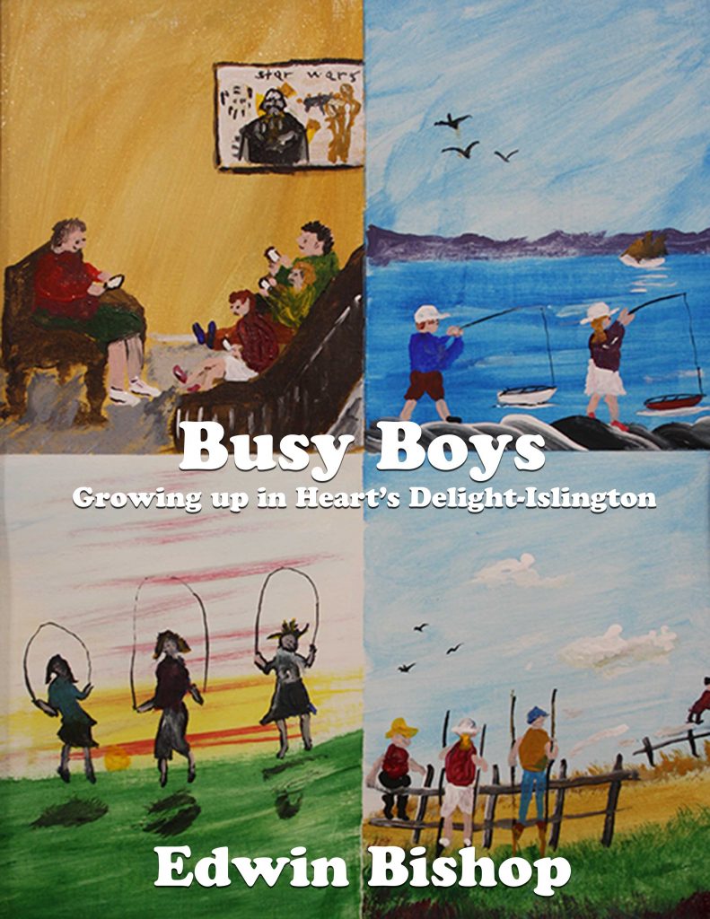 Busy Boys Book Cover